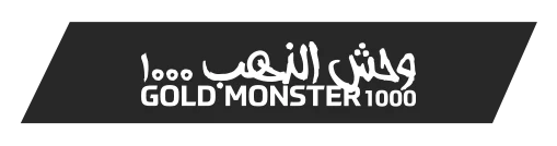Kayseri Minelab Gold Monster 1000 - Gold Monster 1000 küçük altın dedektörü